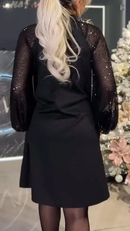 Amara Elegant Dress